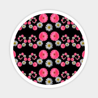 pink flowers daisy flower blooming daisies blooms Magnet